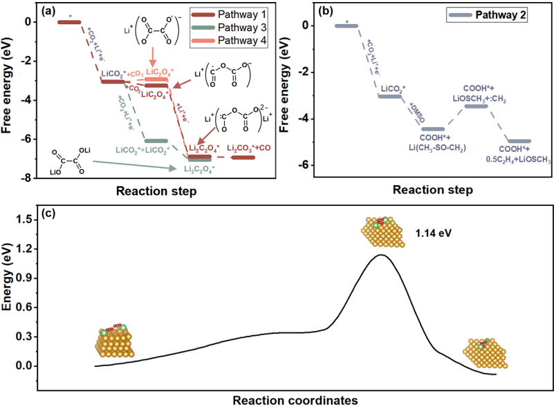 中科院大化所彭章泉团队，最新JACS！