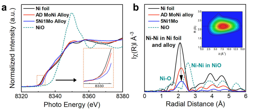 天津大学巩金龙团队，最新Nature子刊！