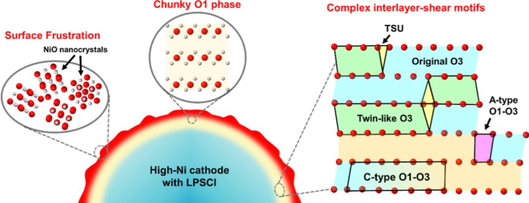 忻获麟最新JACS：固态电池新认识，与液态电池完全不同！