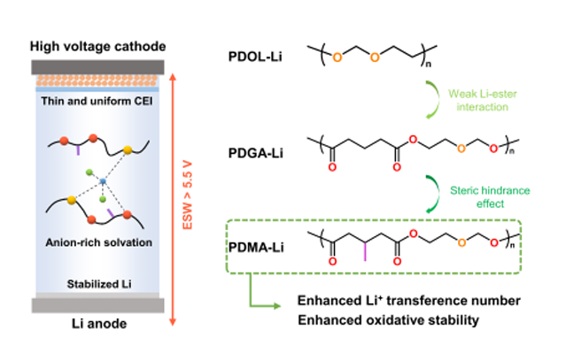 清华Angew：调控聚合物电解质溶剂化结构实现高压锂电池