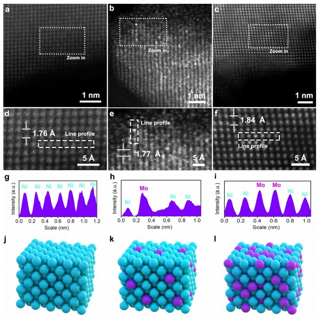 天津大学巩金龙团队，最新Nature子刊！