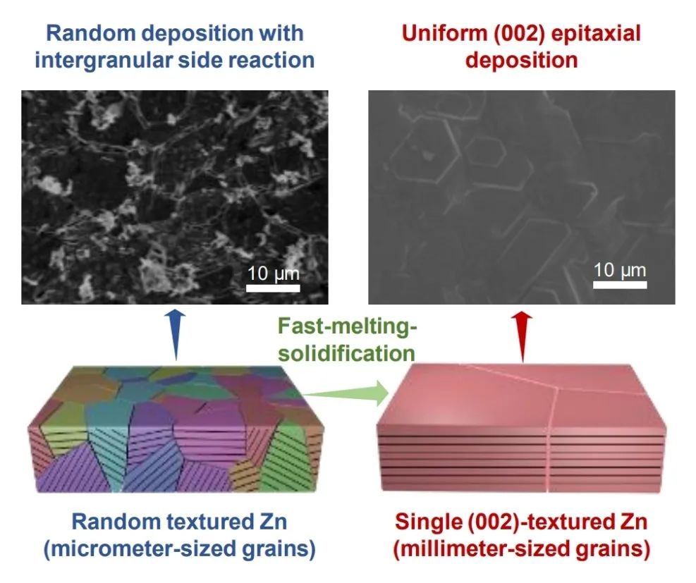 ​南邮Angew：将商业锌箔转化为毫米颗粒的单层(002)织构锌用于水系锌离子电池