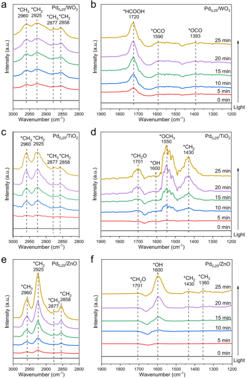 2023新晋中科院院士，最新JACS！