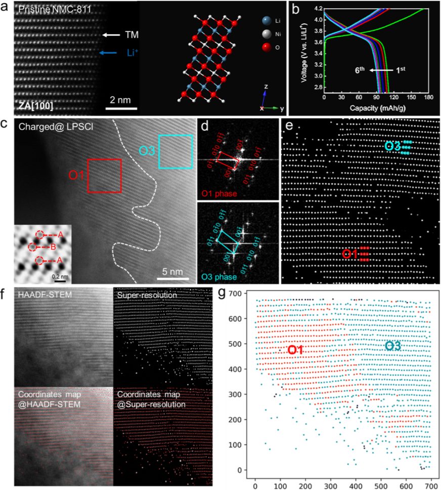 忻获麟最新JACS：固态电池新认识，与液态电池完全不同！