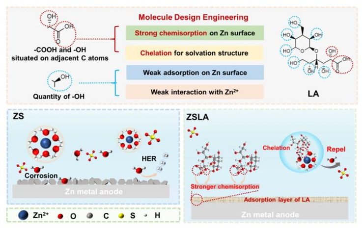 湖大Angew：糖类衍生物添加剂助力锌金属负极