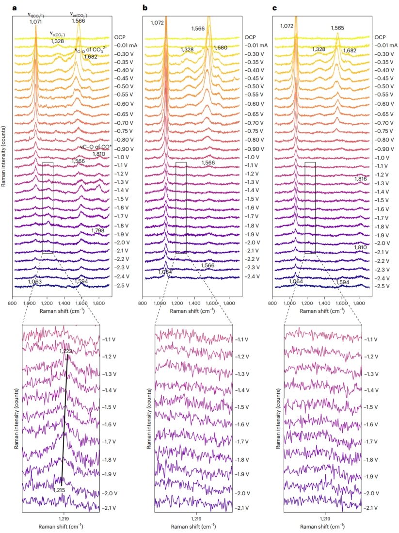 南京大学「国家级青年人才」联手「院士」团队，新发Nature Synthesis！