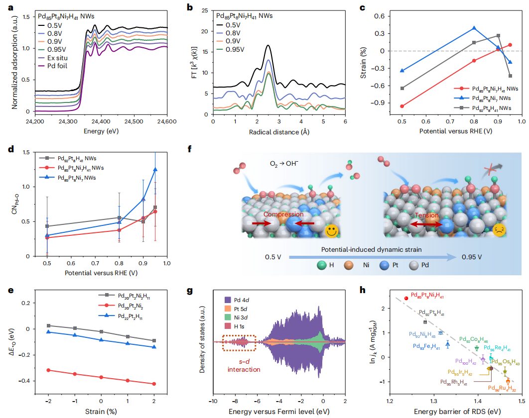 继Nature Materials后，华科李箐再发Nature Catalysis！