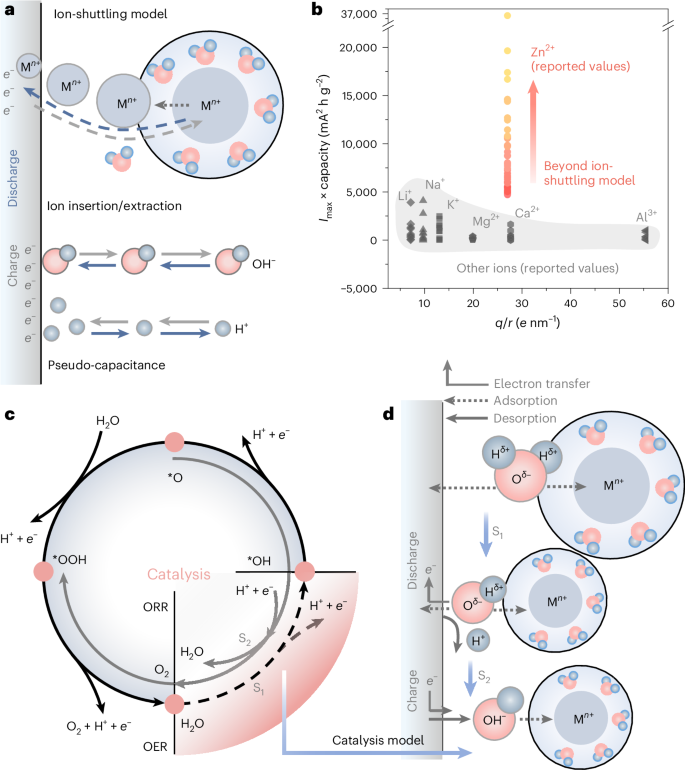 强强联合！麦立强/陆俊等，最新Nature Catalysis：快充长寿命水系锌离子电池！