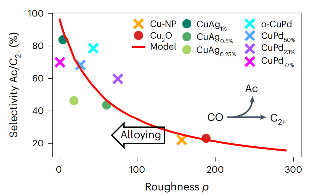 德国马普所，重磅Nature Catalysis！