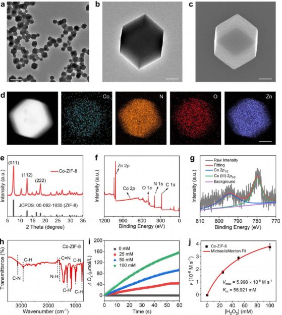 施剑林院士，最新JACS！催化让你健康!