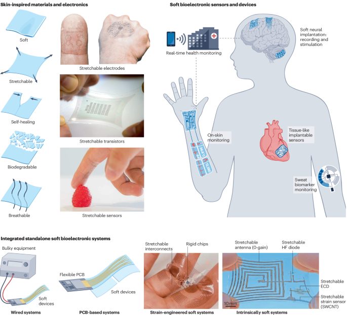 鲍哲南院士，最新Nature Reviews Bioengineering！