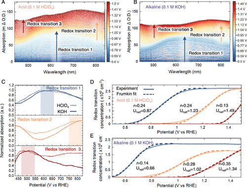 帝国理工Nature Catalysis + JACS：二氧化铱水氧化光谱电化学新发现