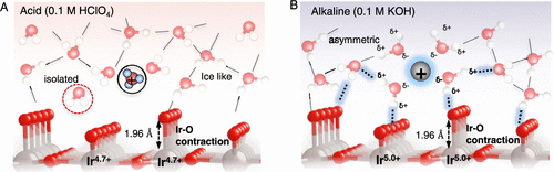 帝国理工Nature Catalysis + JACS：二氧化铱水氧化光谱电化学新发现