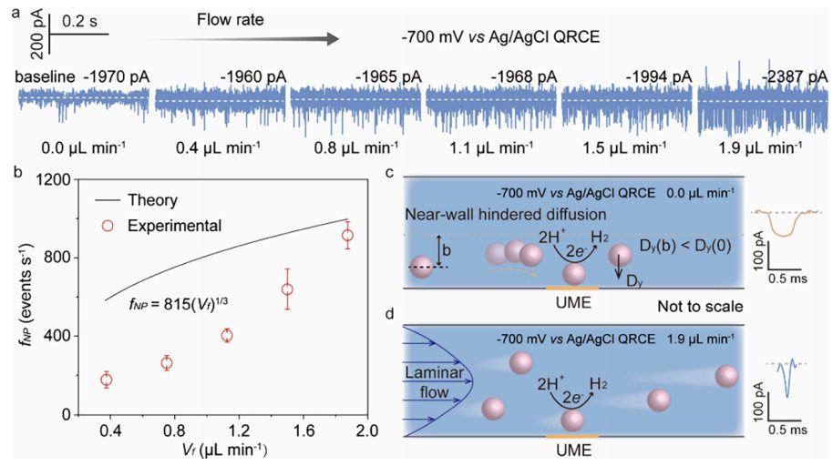 电催化，最新JACS！