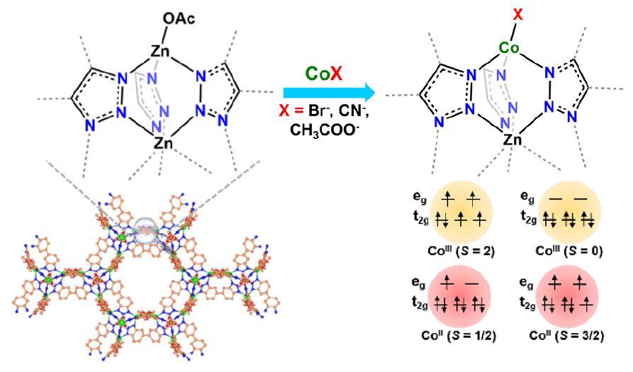 中科大两大杰青团队，合作重磅JACS！