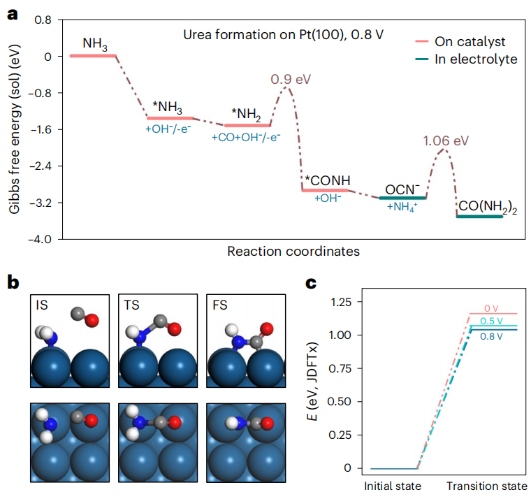 清华陆奇&北大徐冰君&苏大程涛，最新Nature Catalysis！