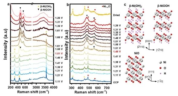 ​港理工JACS: β-Ni(OH)2表面重构: 一种强化OER的自激活过程