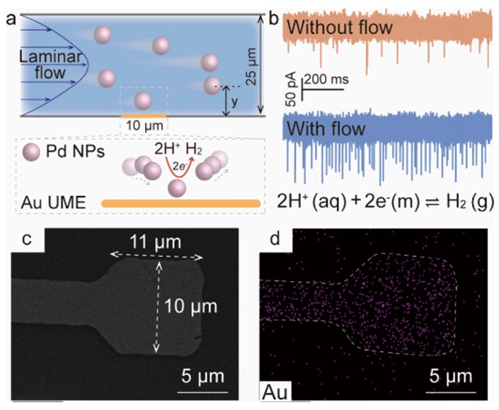 电催化，最新JACS！