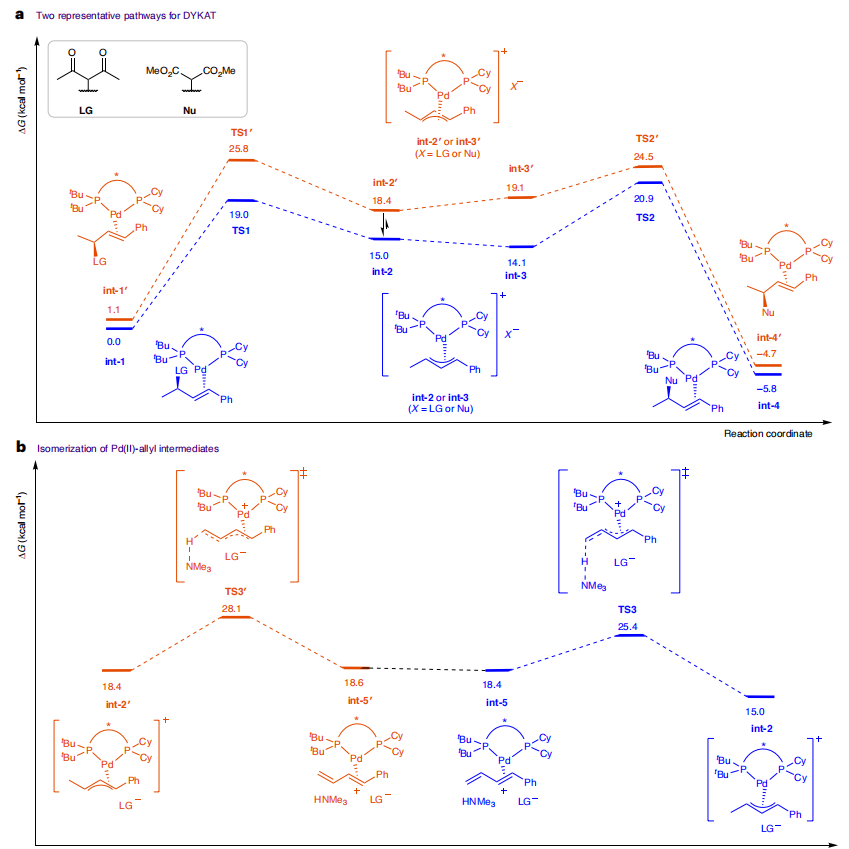 联手导师共同通讯，上海有机所，最新Nature Synthesis！