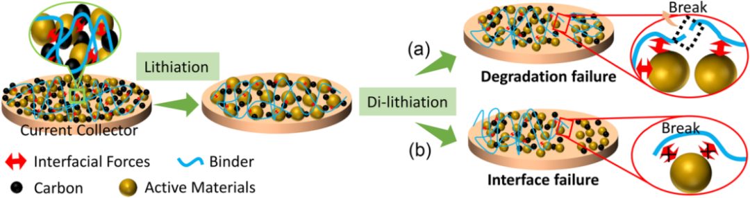 北京大学孟鸿教授&联手黄维院士，最新Chem. Soc. Rev.综述！