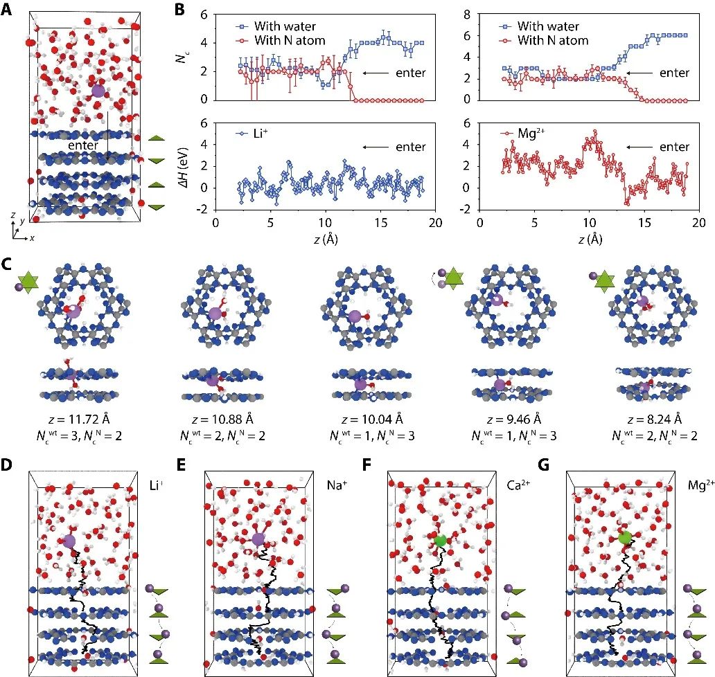 中科院青岛能源所刘健&高军团队Science Advances：“同源焊接”结晶/无定形氮化碳复合膜盐湖提锂：又准又稳