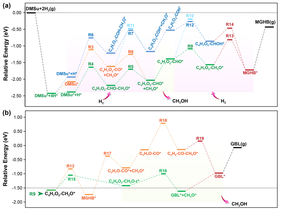 天津大学余英哲，最新ACS Catalysis！