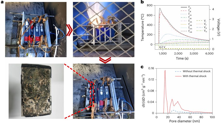 清华大学杨颖，联手浙大陆俊，最新Nature Energy！