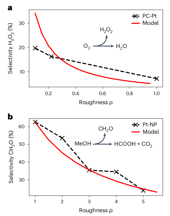 德国马普所，重磅Nature Catalysis！