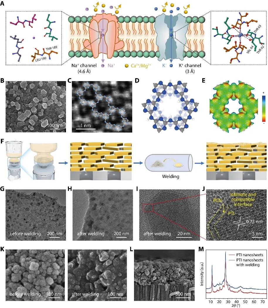 中科院青岛能源所刘健&高军团队Science Advances：“同源焊接”结晶/无定形氮化碳复合膜盐湖提锂：又准又稳