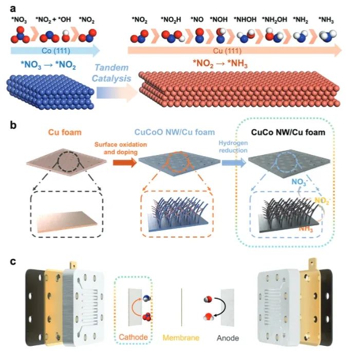 ​港理工/江大AFM: Cu纳米线中引入Co，串联催化NO3−电还原为NH3