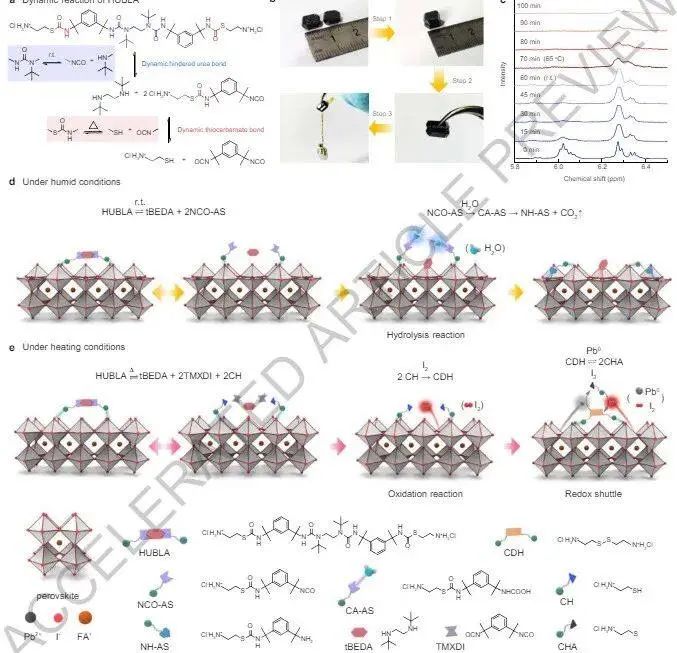 重大突破！港城大/牛津大学/西安交大，最新Nature！