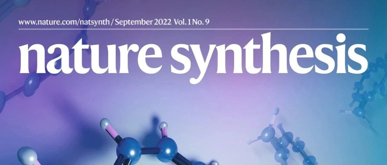 中科大闫文盛/谈浩&清华大学王定胜，最新Nature Synthesis！ | 华算科技