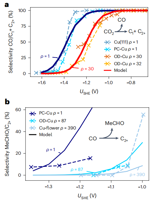 德国马普所，重磅Nature Catalysis！