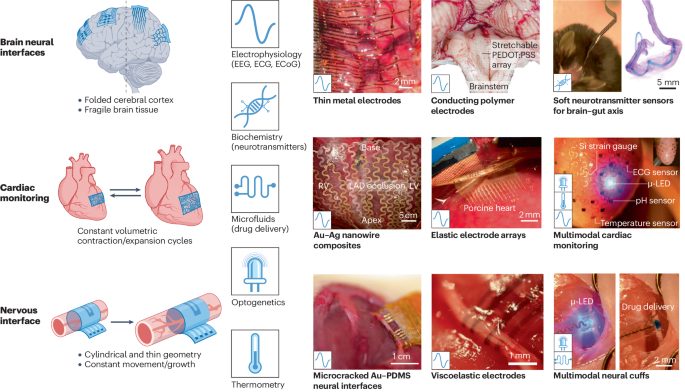 鲍哲南院士，最新Nature Reviews Bioengineering！