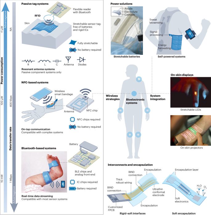 鲍哲南院士，最新Nature Reviews Bioengineering！