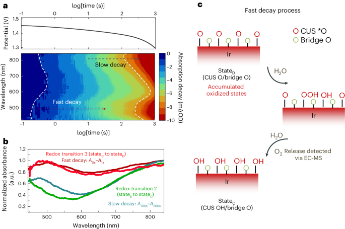 帝国理工Nature Catalysis + JACS：二氧化铱水氧化光谱电化学新发现