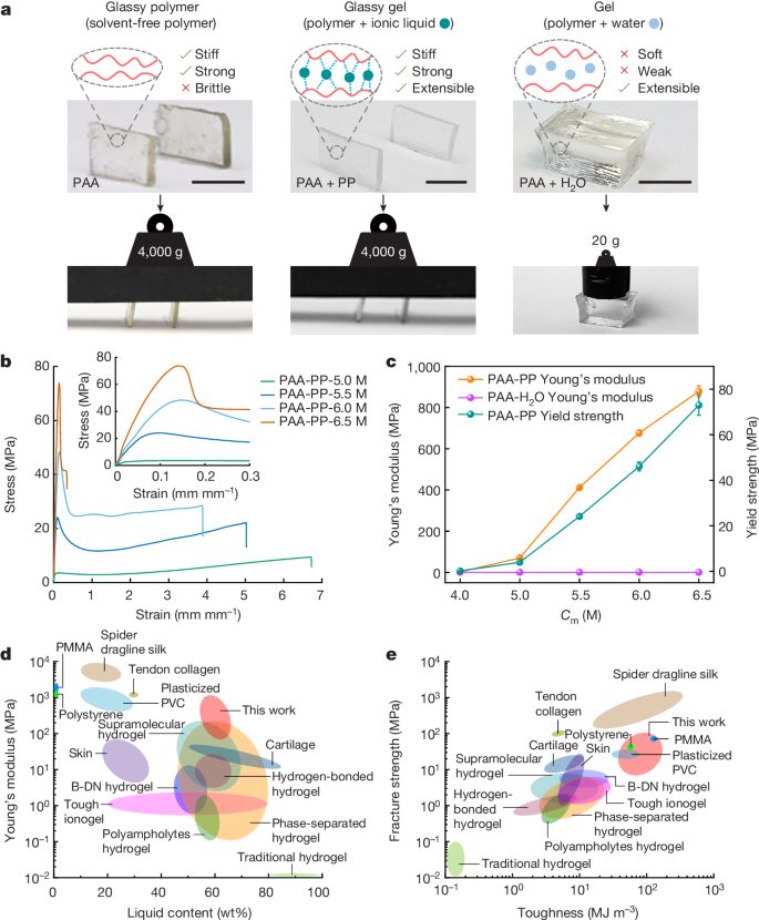 中国青年学者一作，最新Nature！