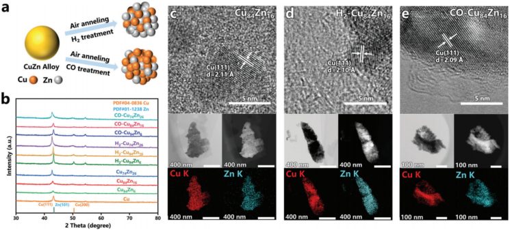 天津大学巩金龙团队，最新AFM！