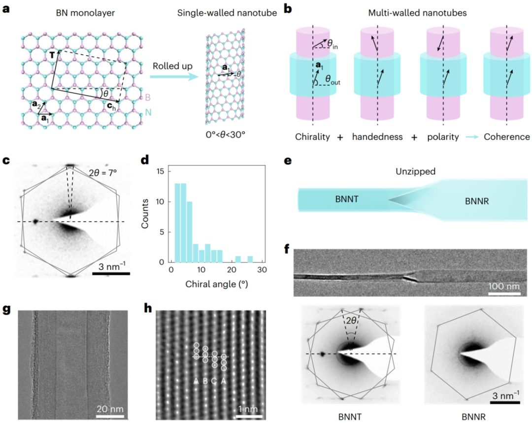 北京大学，新发Nature Nanotechnology！