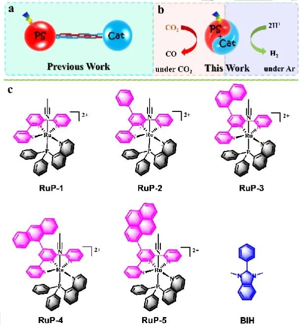 ​大化所/华侨大学Angew: 调控单核Ru(II)配合物三重态，增强光催化性能