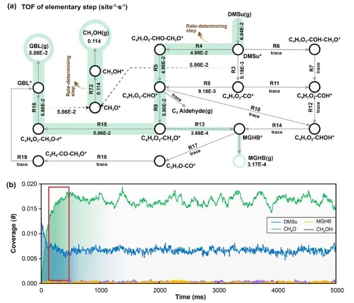 ​天大ACS Catal.: 计算结合kMC分析，揭示Cu/ZnO催化HDMM加氢机制