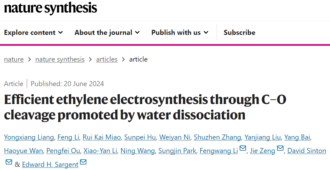 两位院士领衔！最新Nature Synthesis！