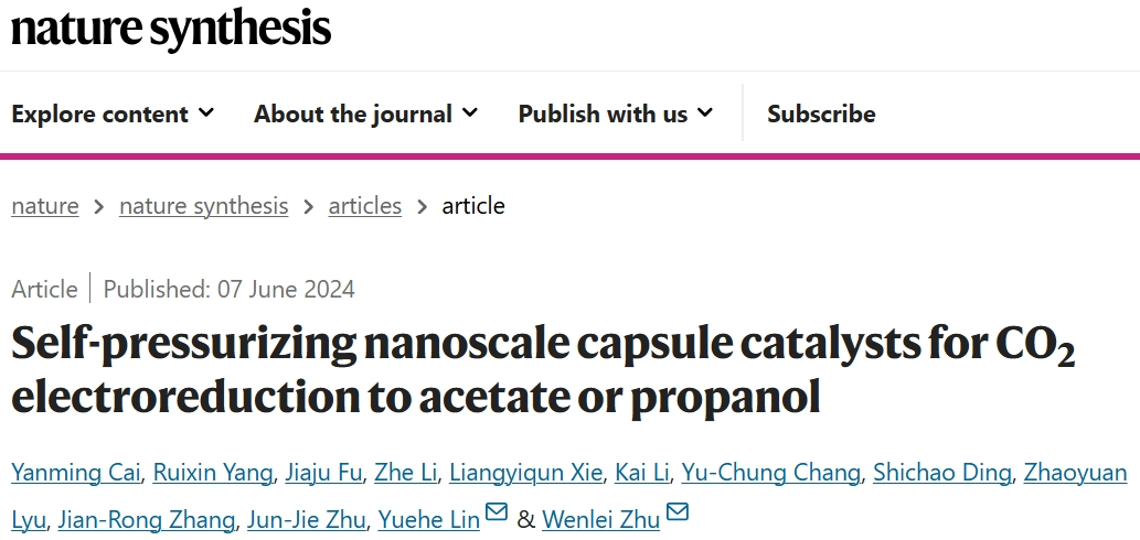 南京大学「国家级青年人才」联手「院士」团队，新发Nature Synthesis！