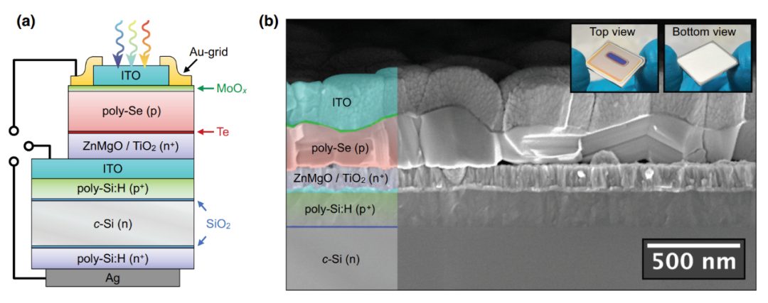 全球首个硒-硅单片叠层太阳能电池：有望突破单结光伏效率极限