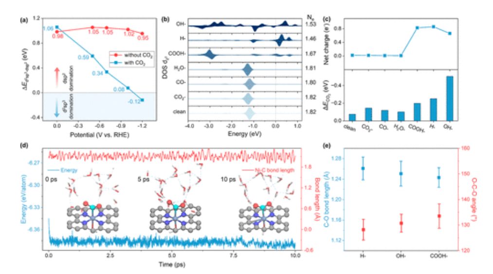 东南大学王金兰/凌崇益，最新JACS！