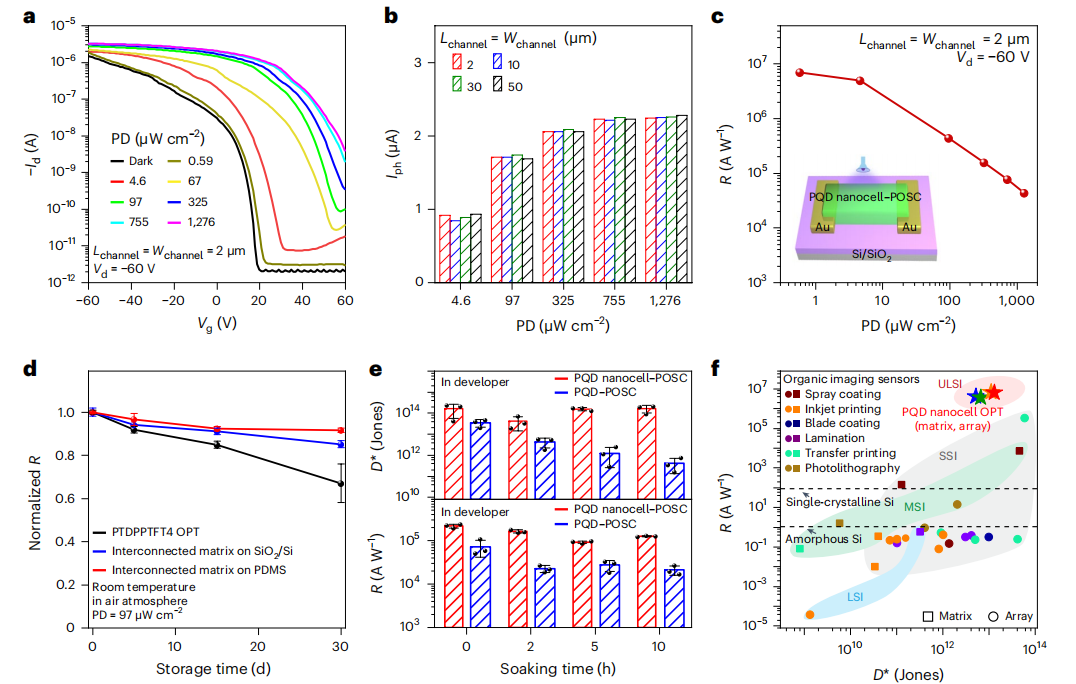 复旦大学，最新Nature Nanotechnology！