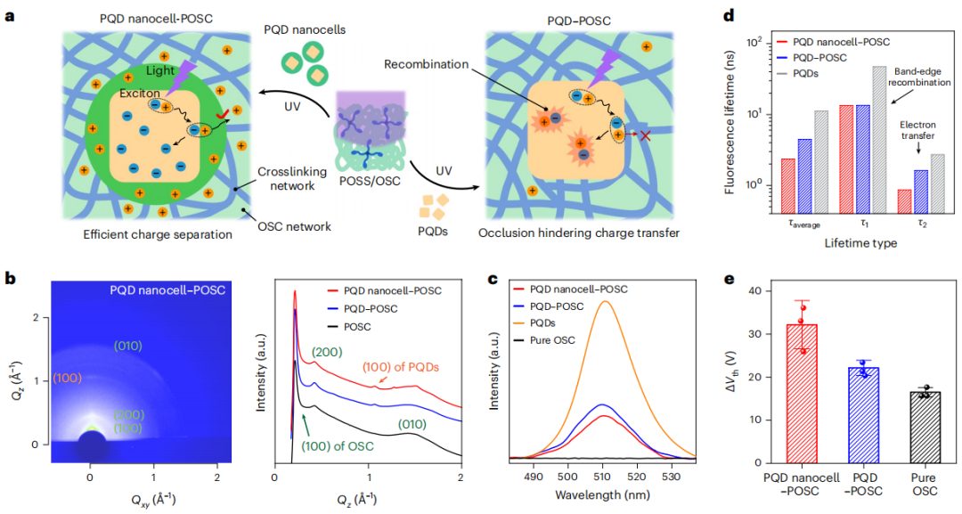 复旦大学，最新Nature Nanotechnology！