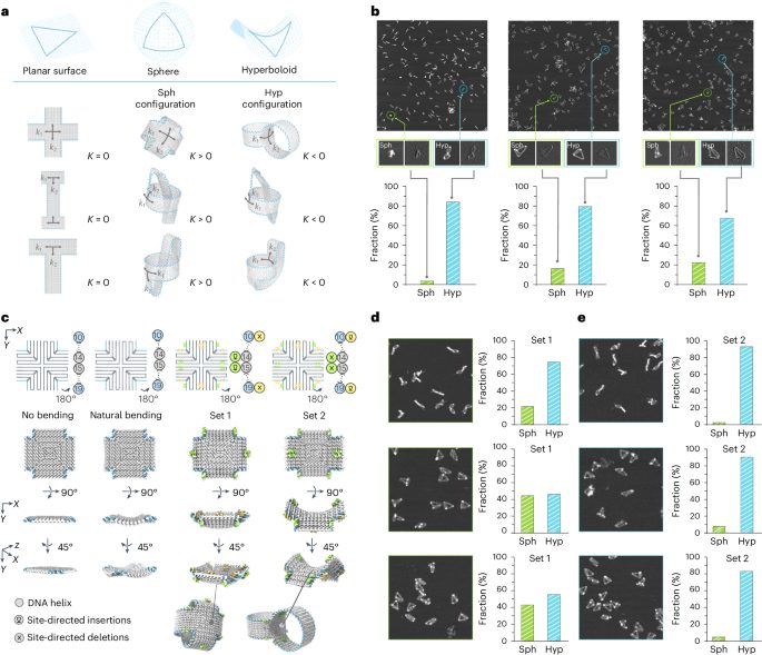 被院士称为“美丽的误会”！华东师大，最新Nature Chemistry，再解顶级难题!