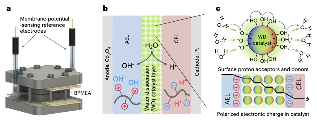 催化剂描述符，最新Nature Materials！