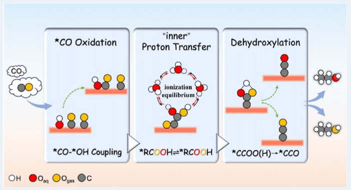 东南大学王金兰/凌崇益团队，最新ACS Catalysis！